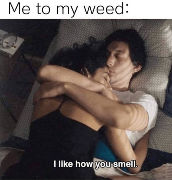 Mildly Arousing Memes