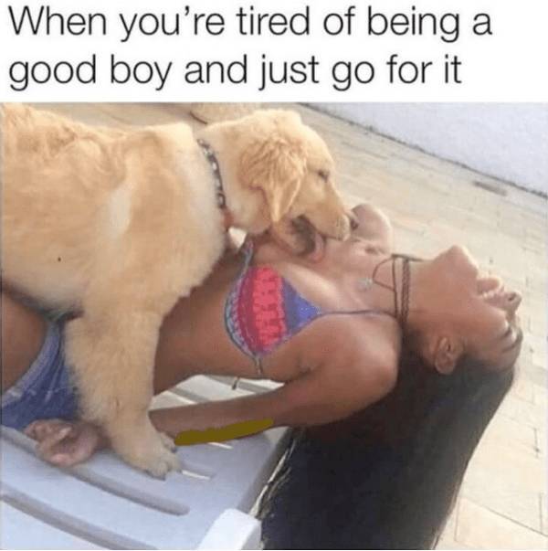 Mildly Arousing Memes