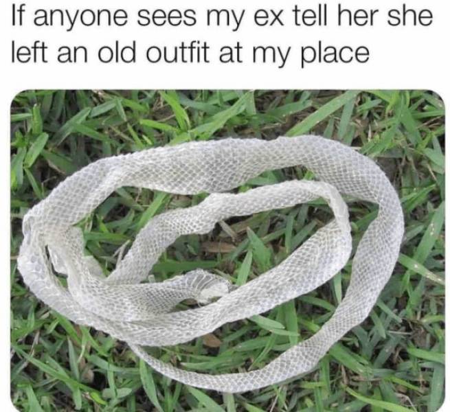 Dirty Dump For Dirty Minds