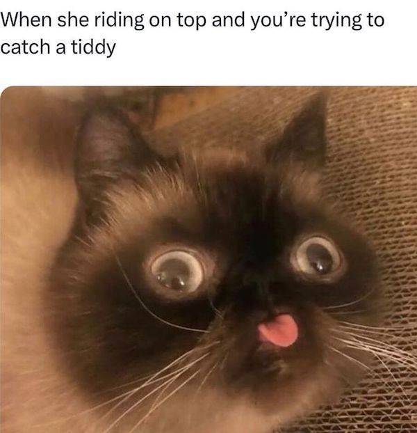 NSFW Memes To Add Some Spice To Your Life