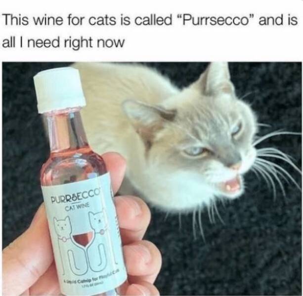 Drinking Never Ends!