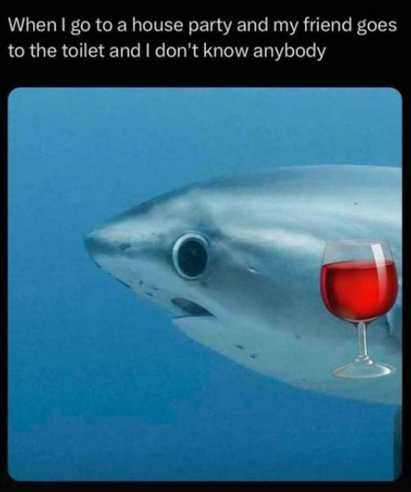 Drinking Never Ends!