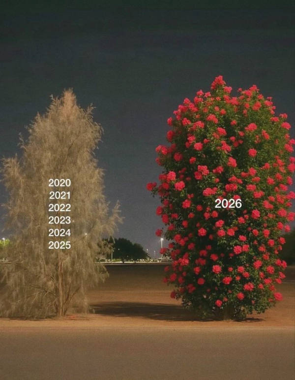 2026 Has Arrived — Let the New Memes Begin