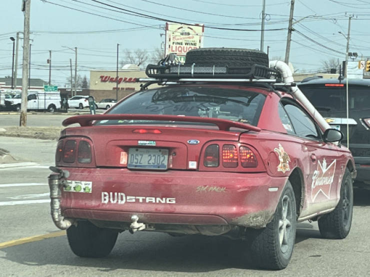 Road Trips Gone Weird