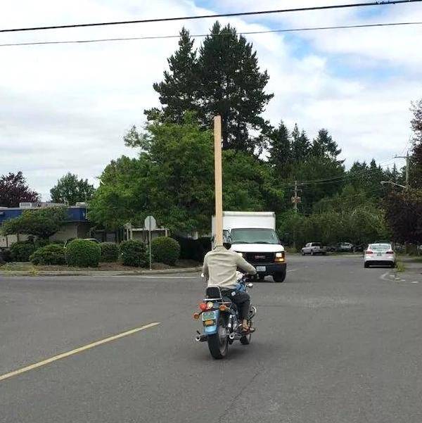 Road Trips Gone Weird