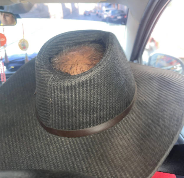 WTF Did I Just See?!