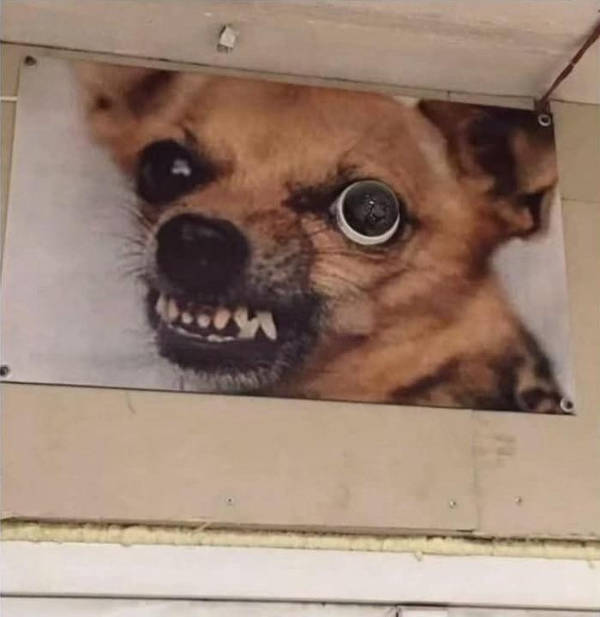 WTF Did I Just See?!