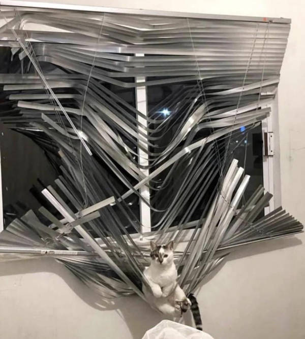 WTF Did I Just See?!