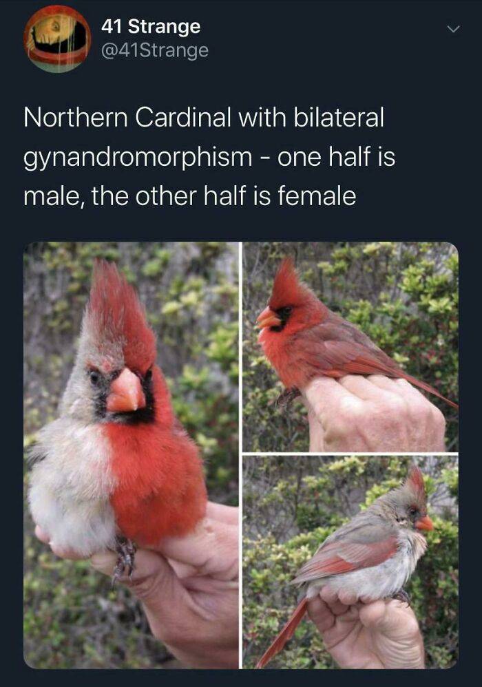 Real-Life Moments That Looked Like a Matrix Glitch