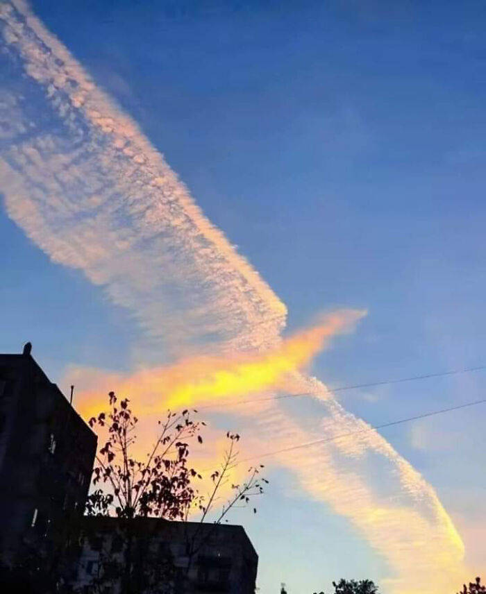 Real-Life Moments That Looked Like a Matrix Glitch