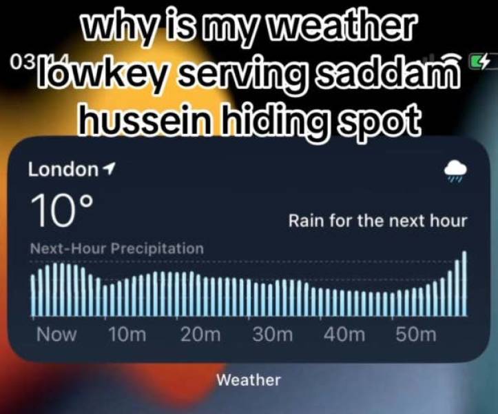 The Funniest Dumb Pics on the Internet