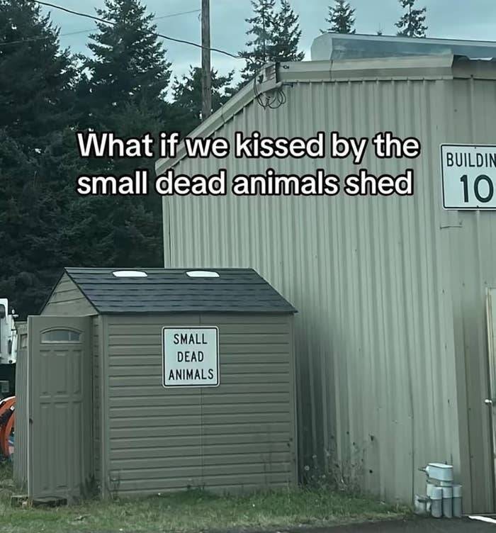 The Funniest Dumb Pics on the Internet