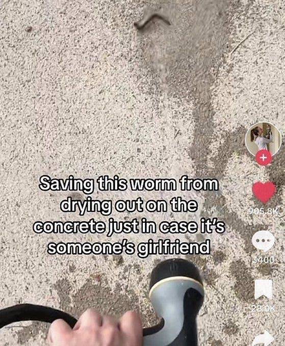 The Funniest Dumb Pics on the Internet