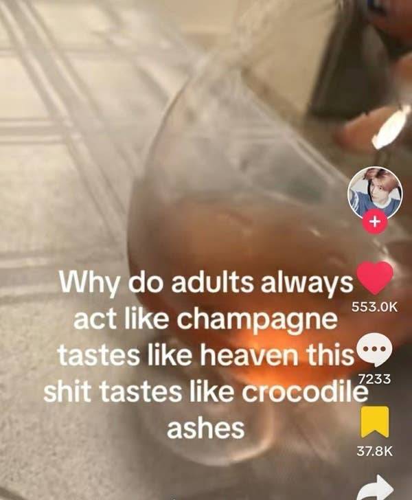 The Funniest Dumb Pics on the Internet