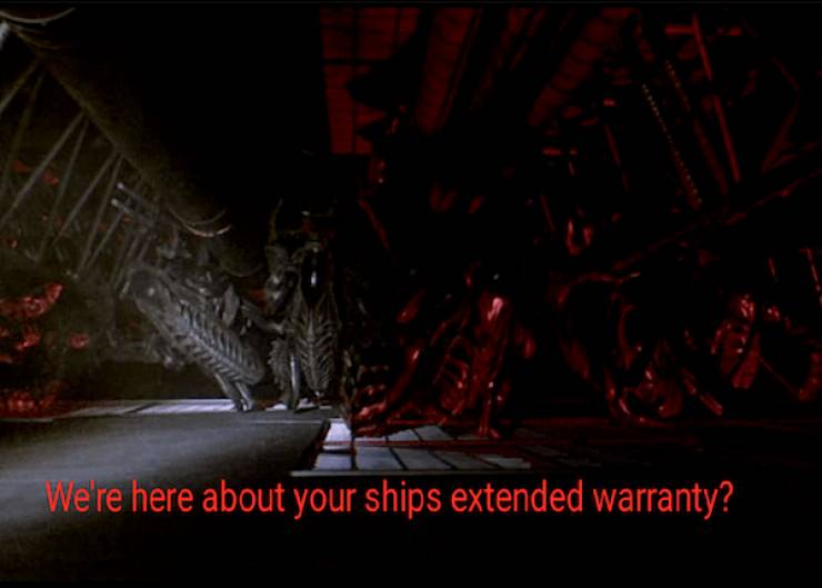 Absolutely No Thoughts, Just Memes