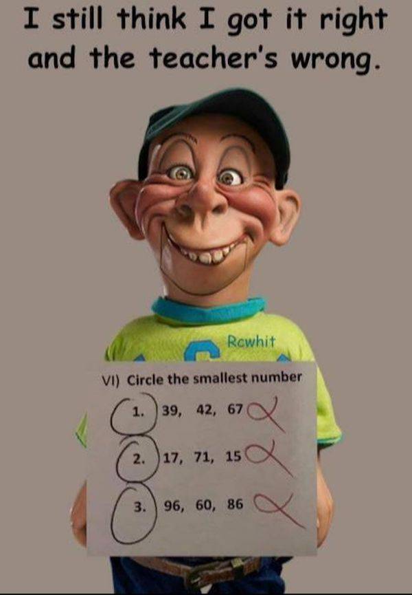 Absolutely No Thoughts, Just Memes