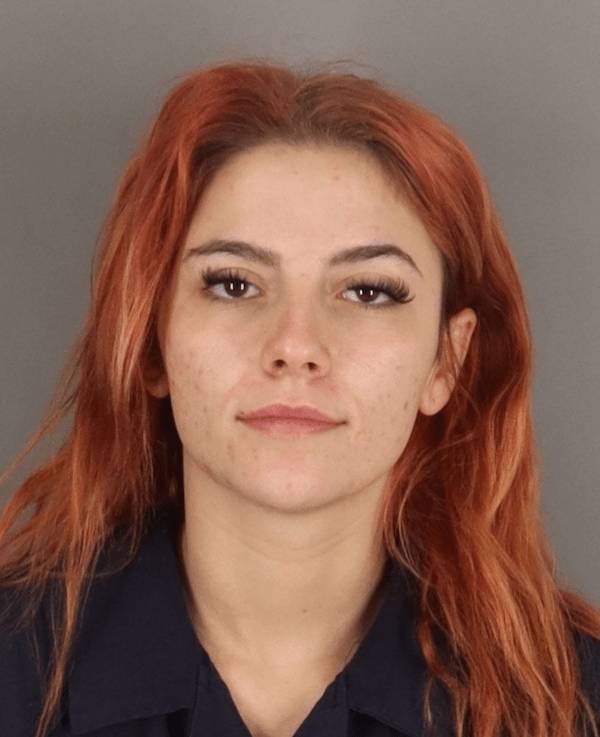 America’s Top (Mugshot) Models