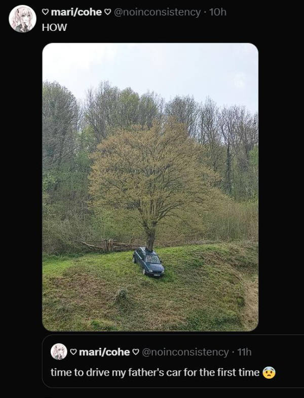 Designs That Tried Their Best