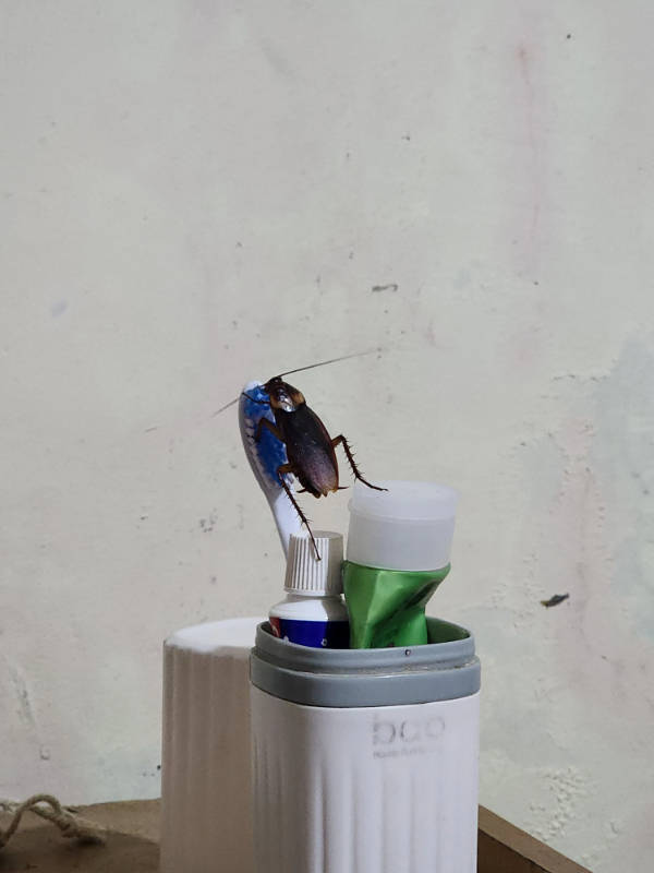 When Everything Goes Wrong at Once