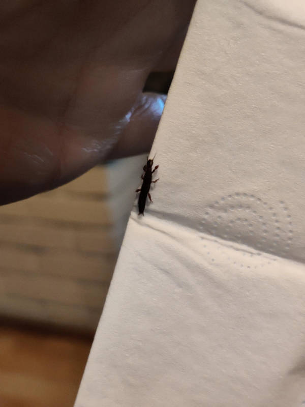 When Everything Goes Wrong at Once