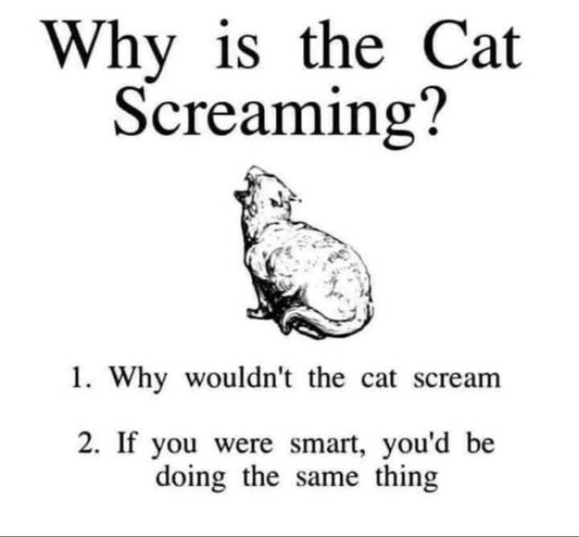 Certified Dank Memes You Need Right Now