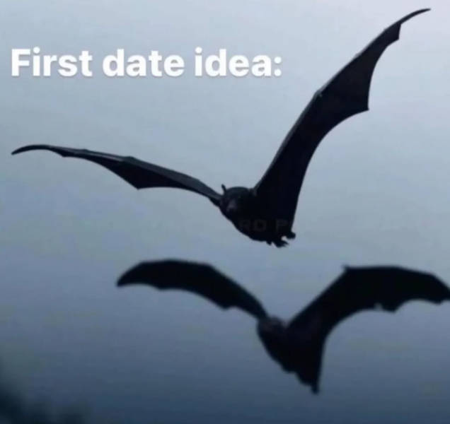 Cute and Flirty Memes for Your Favorite Person