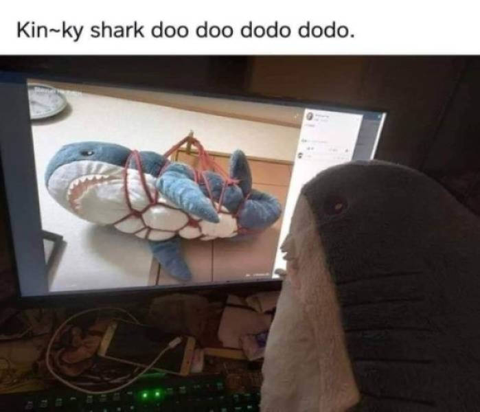 Cute and Flirty Memes for Your Favorite Person