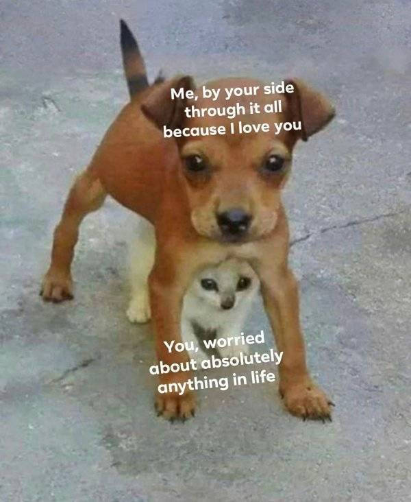 Cute and Flirty Memes for Your Favorite Person