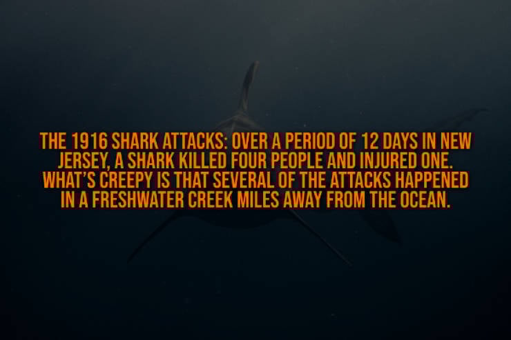 These Creepy Facts Will Haunt You