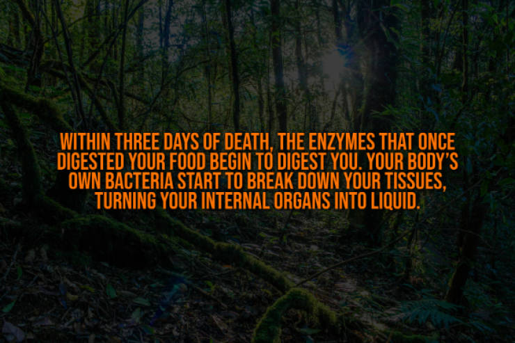 These Creepy Facts Will Haunt You