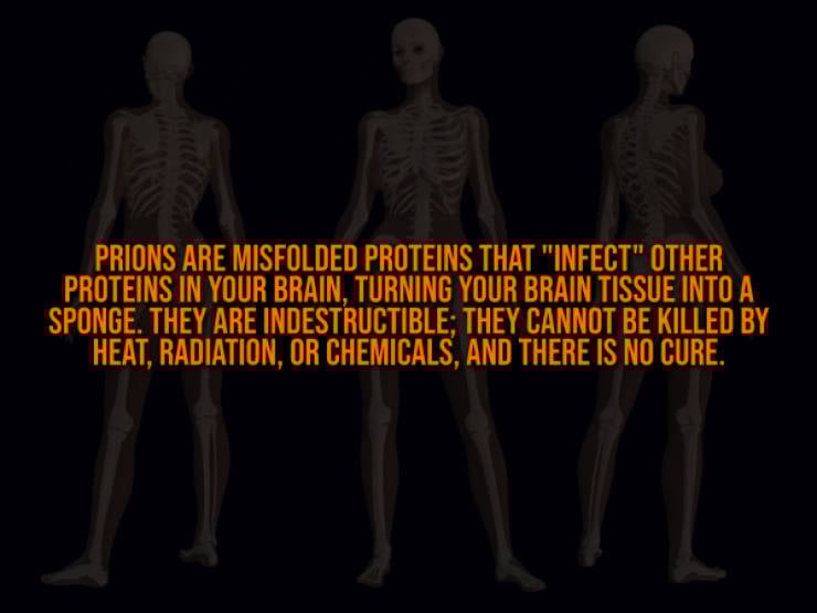 These Creepy Facts Will Haunt You