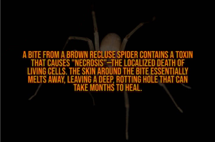 These Creepy Facts Will Haunt You