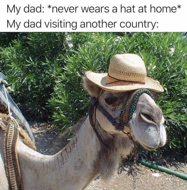 NSFW Memes To Add Some Spice To Your Life