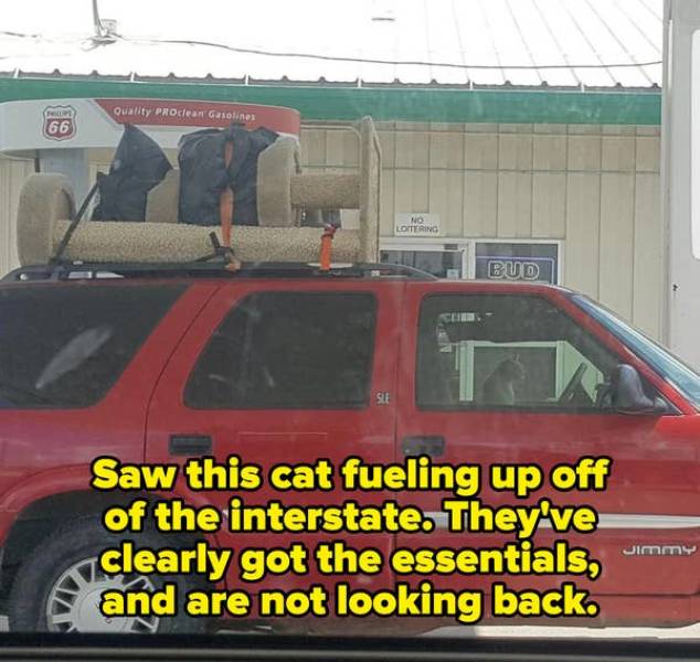 These Pics Are Comedy Gold