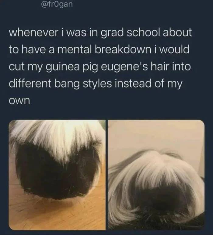 These Pics Are Comedy Gold