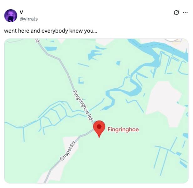 Well-Traveled Memes That Remind Us of You