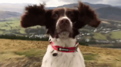 Shower Thoughts That Will Break Your Brain