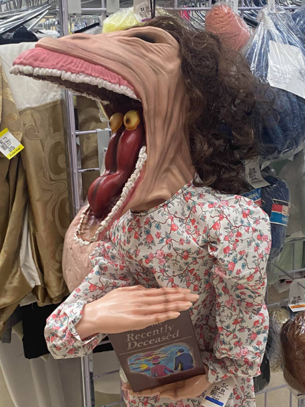 Thrift Shop Treasures… or Total Nightmares