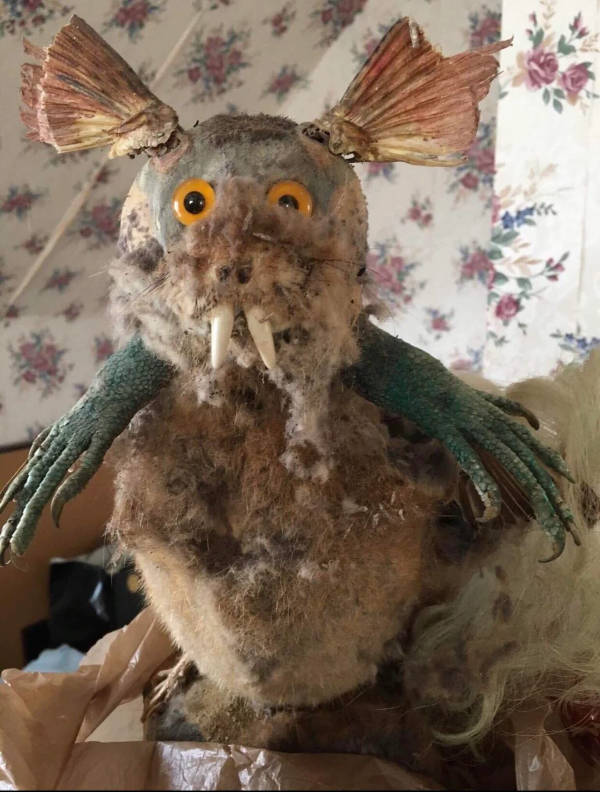 Thrift Shop Treasures… or Total Nightmares