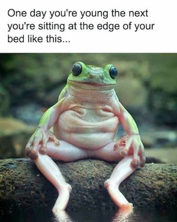 Not Smart… But Also Not Wrong