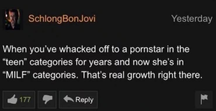 Pornhub Comments that are Better than the Videos