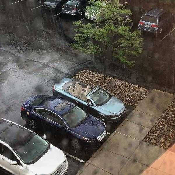 When a Picture Raises More Questions Than Answers