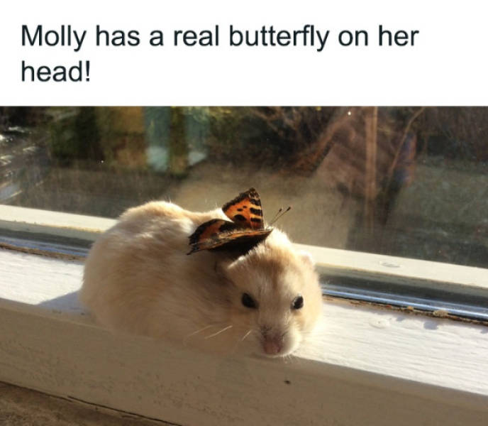 Wholesome Pictures That Feel Like a Warm Hug