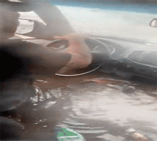 These Rides Are Built Different