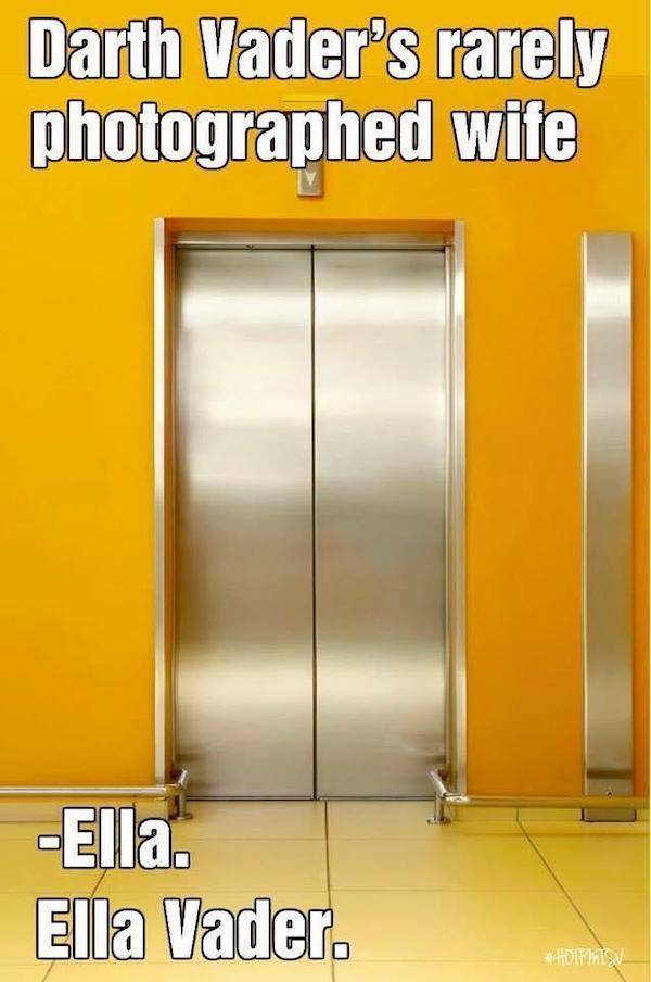 Wis-DUMB Memes at Maximum Capacity