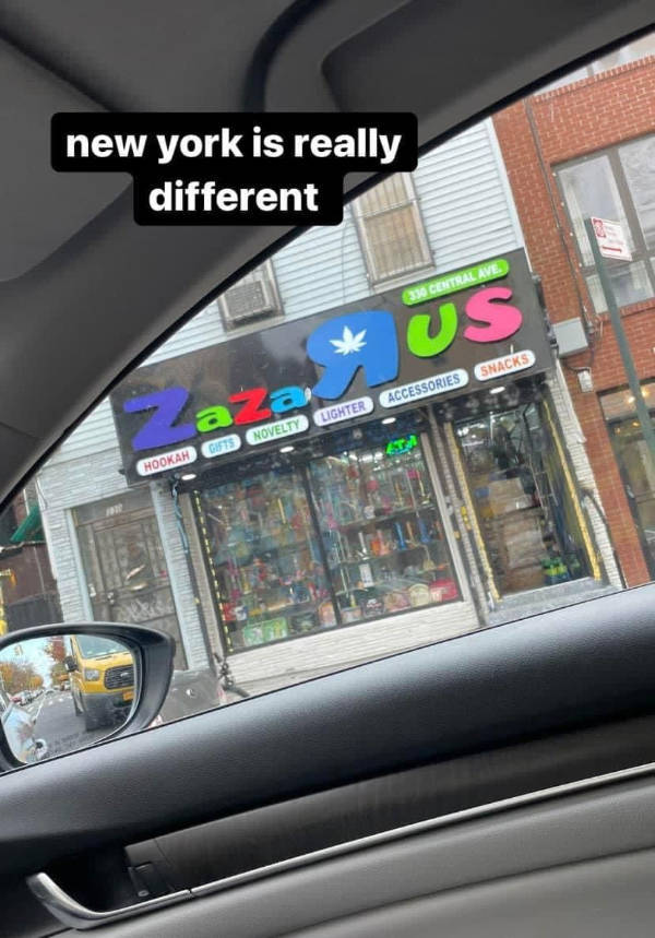 One Person’s Normal Is Another Person’s Plot Twist