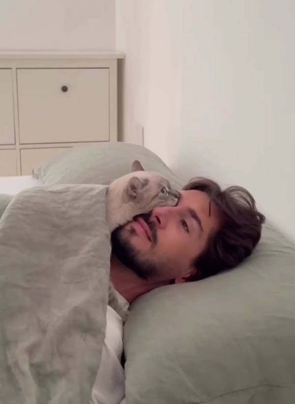 The Funniest Creatures on the Internet