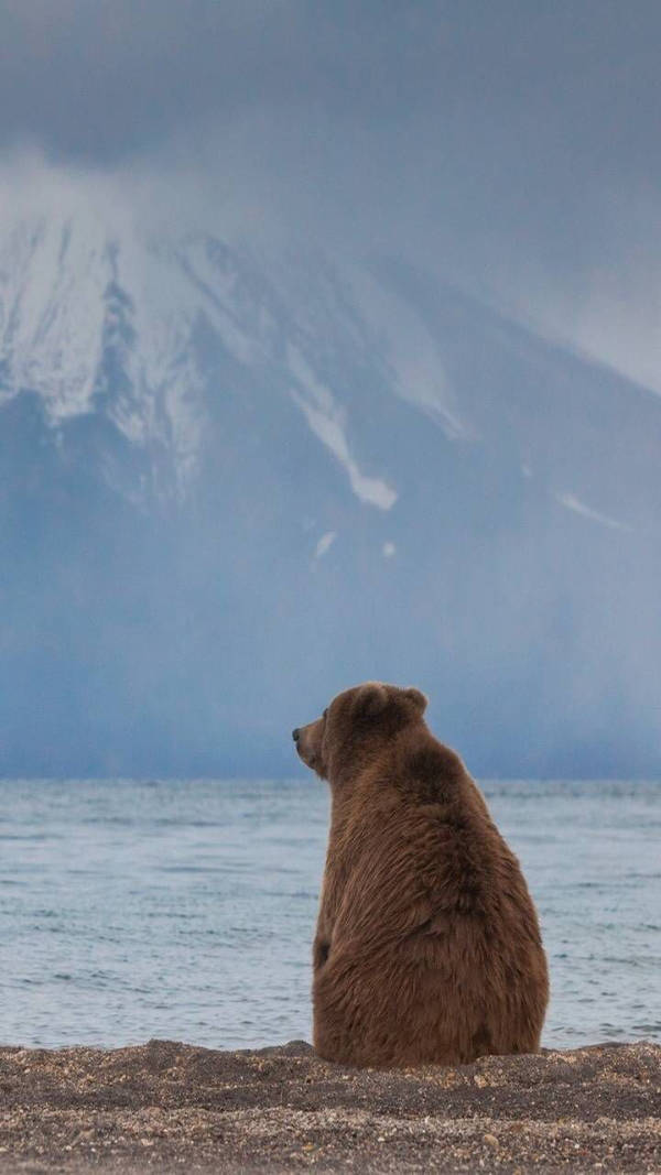 The Funniest Creatures on the Internet