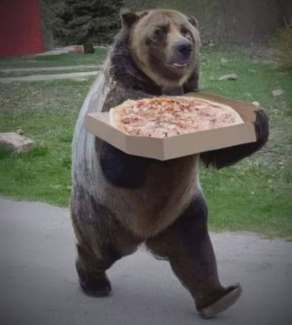 The Funniest Creatures on the Internet