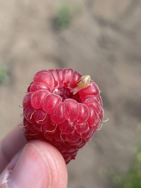 Unexpectedly Awesome Moments